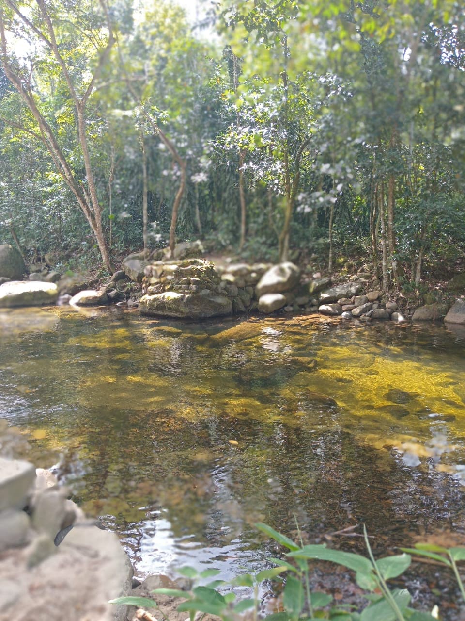 Rio com pedras e pequeno muro de pedra na trilha