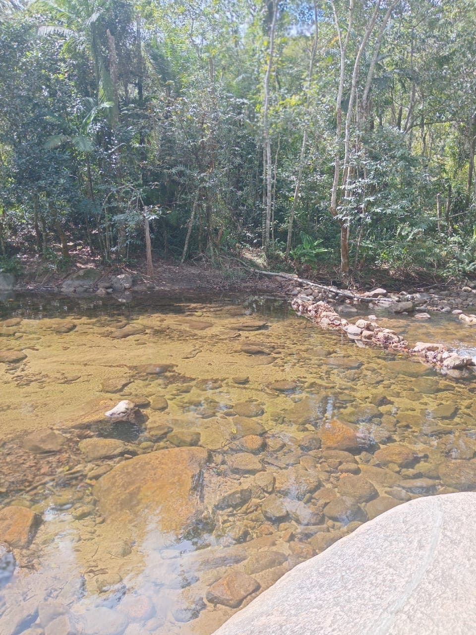 Poço de rio com muro de pedra e mata ao redor
