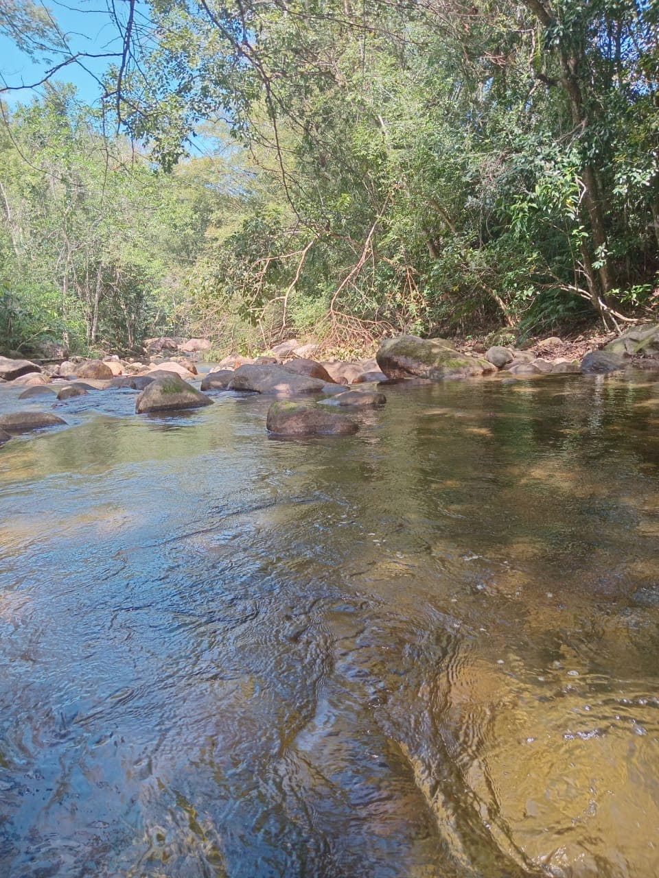 Rio estreito entre pedras e vegetação nativa