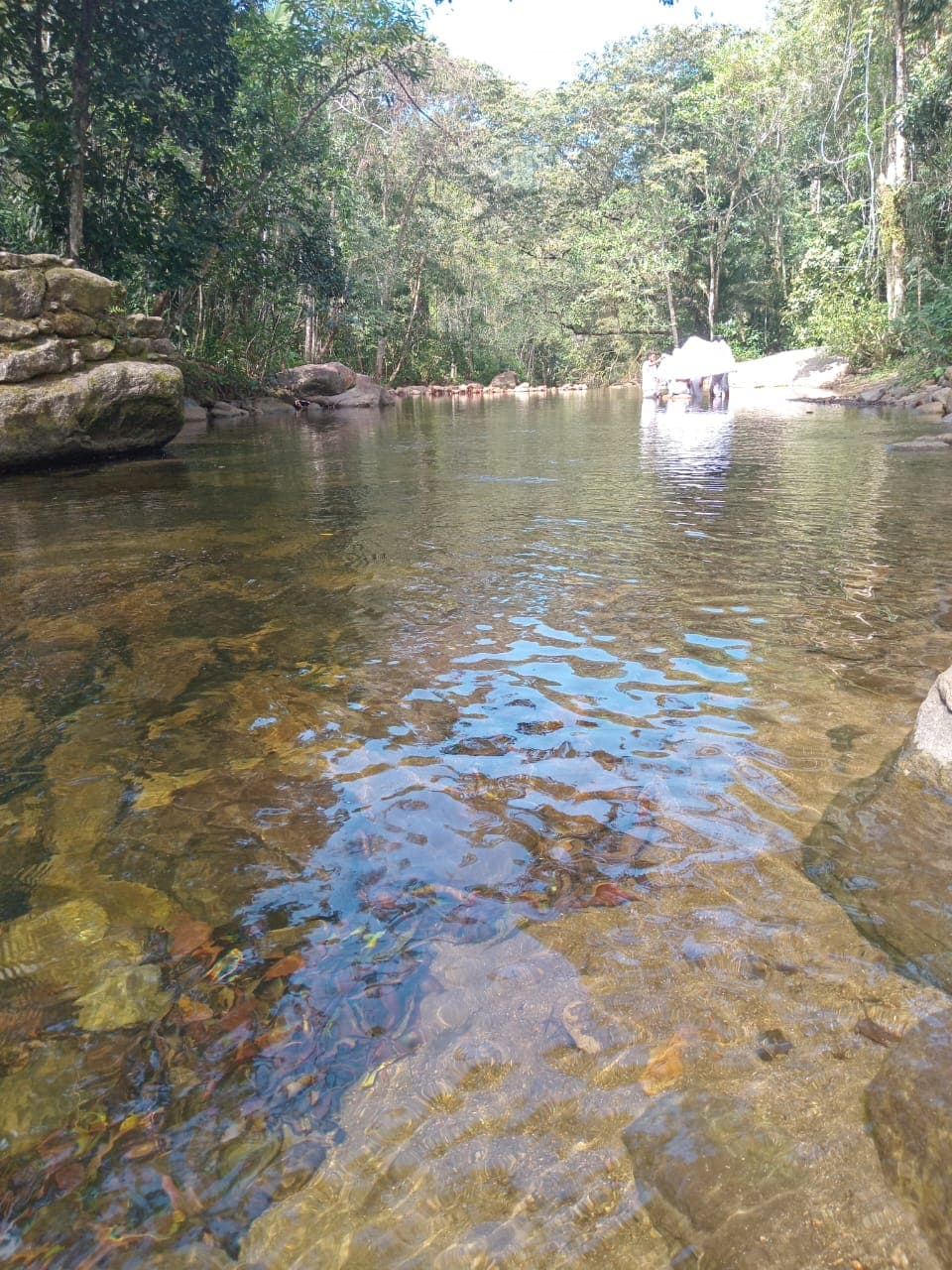 Rio de pedras grandes visto de perto, água clara