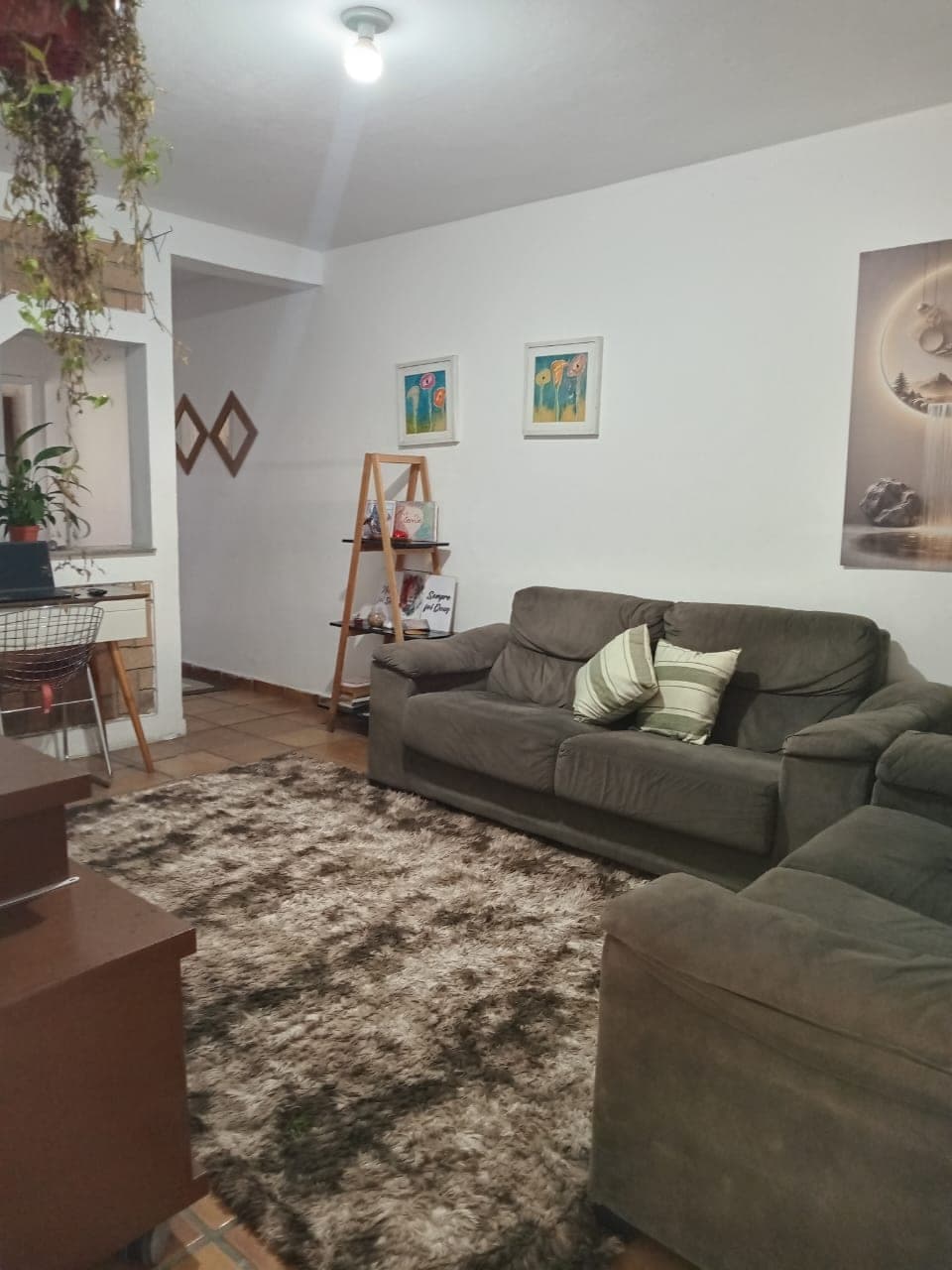 Sala de estar da Kadiniz House com sofá marrom, tapete felpudo e plantas